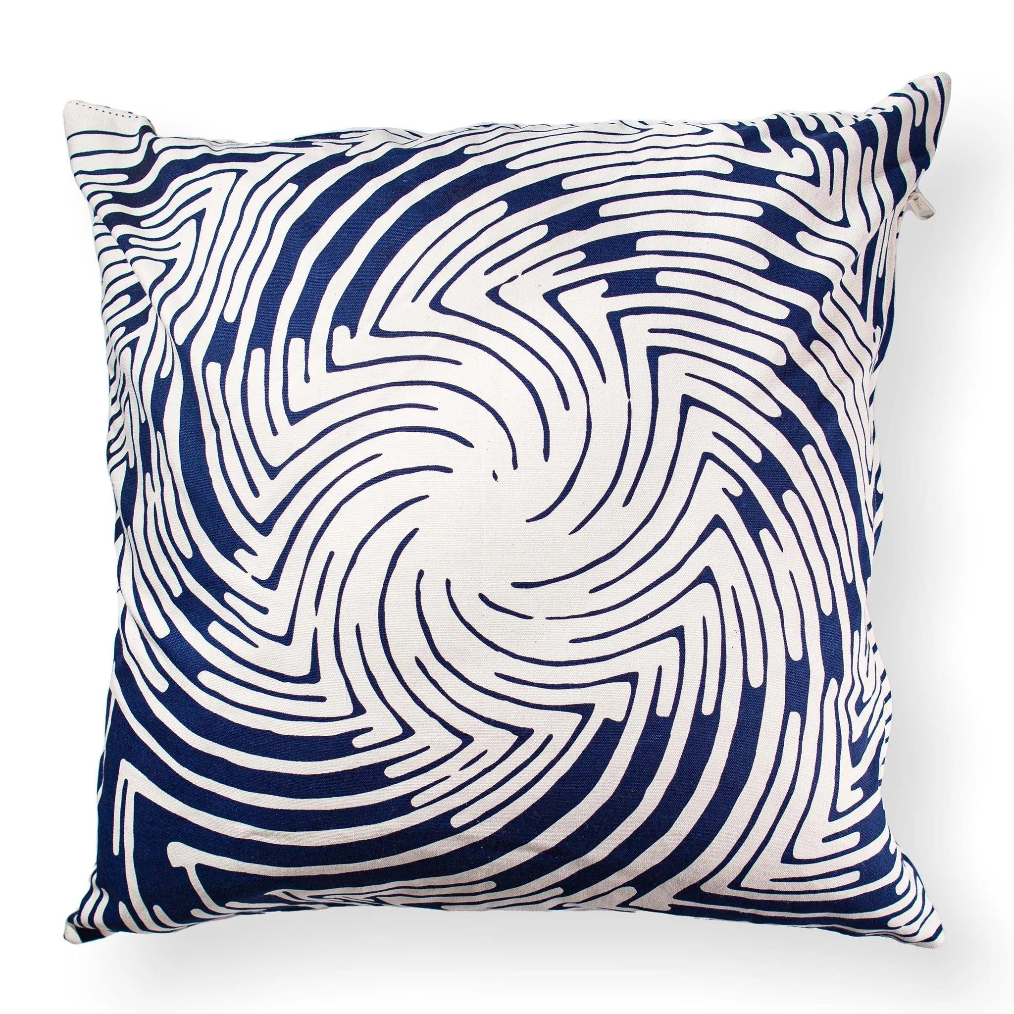 Binga Modern Blue White Pillows