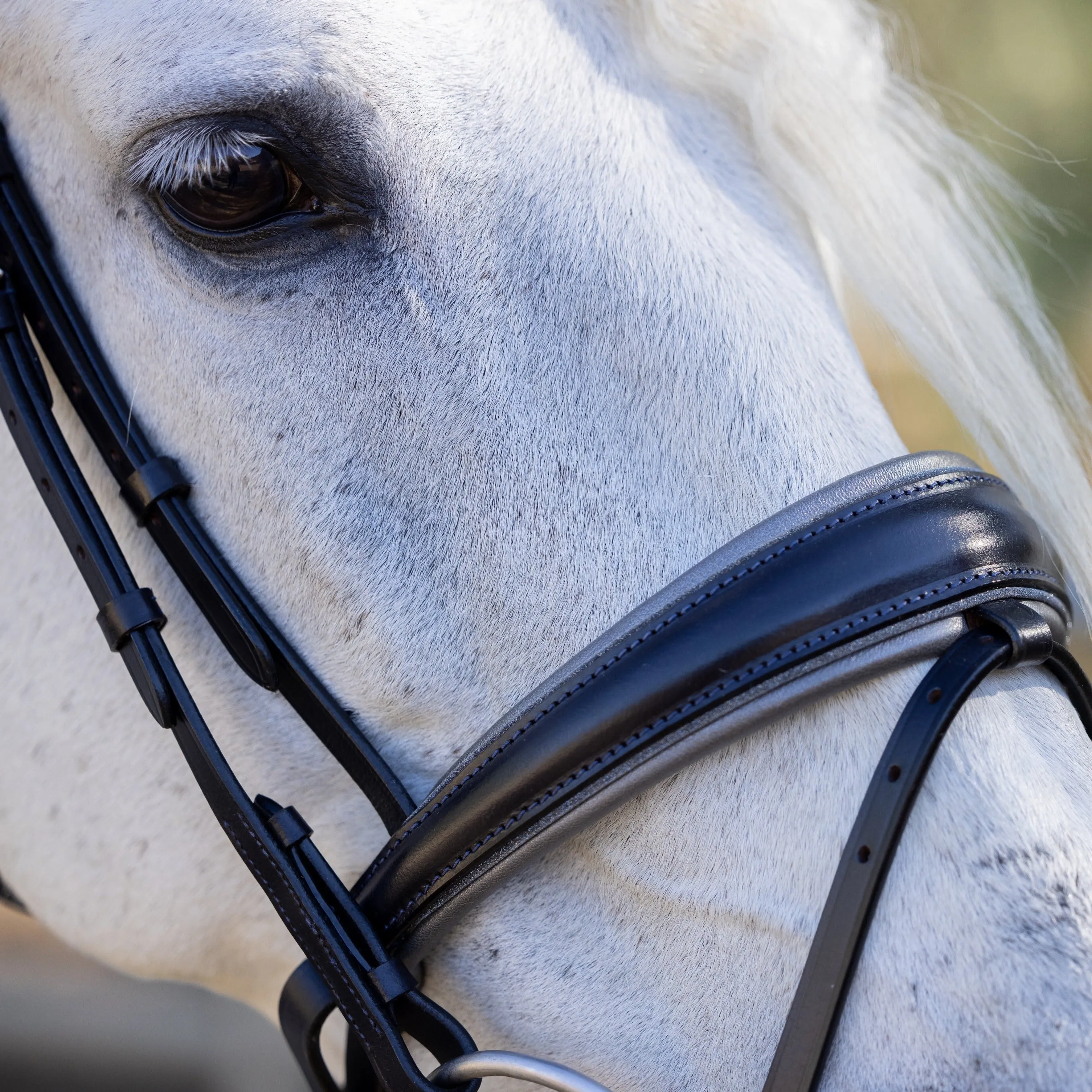 The Sterling Navy Leather Conical Snaffle