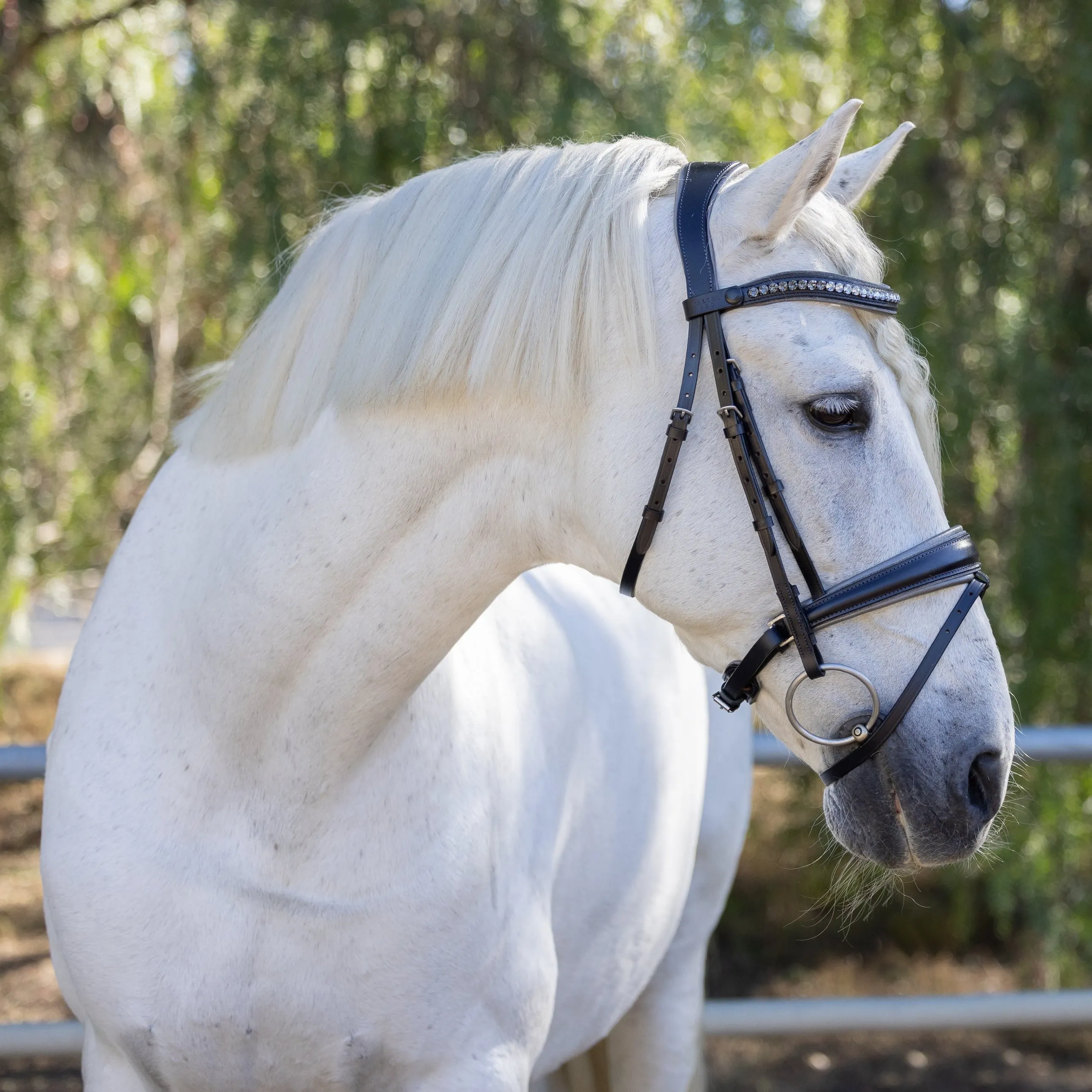 The Sterling Navy Leather Conical Snaffle