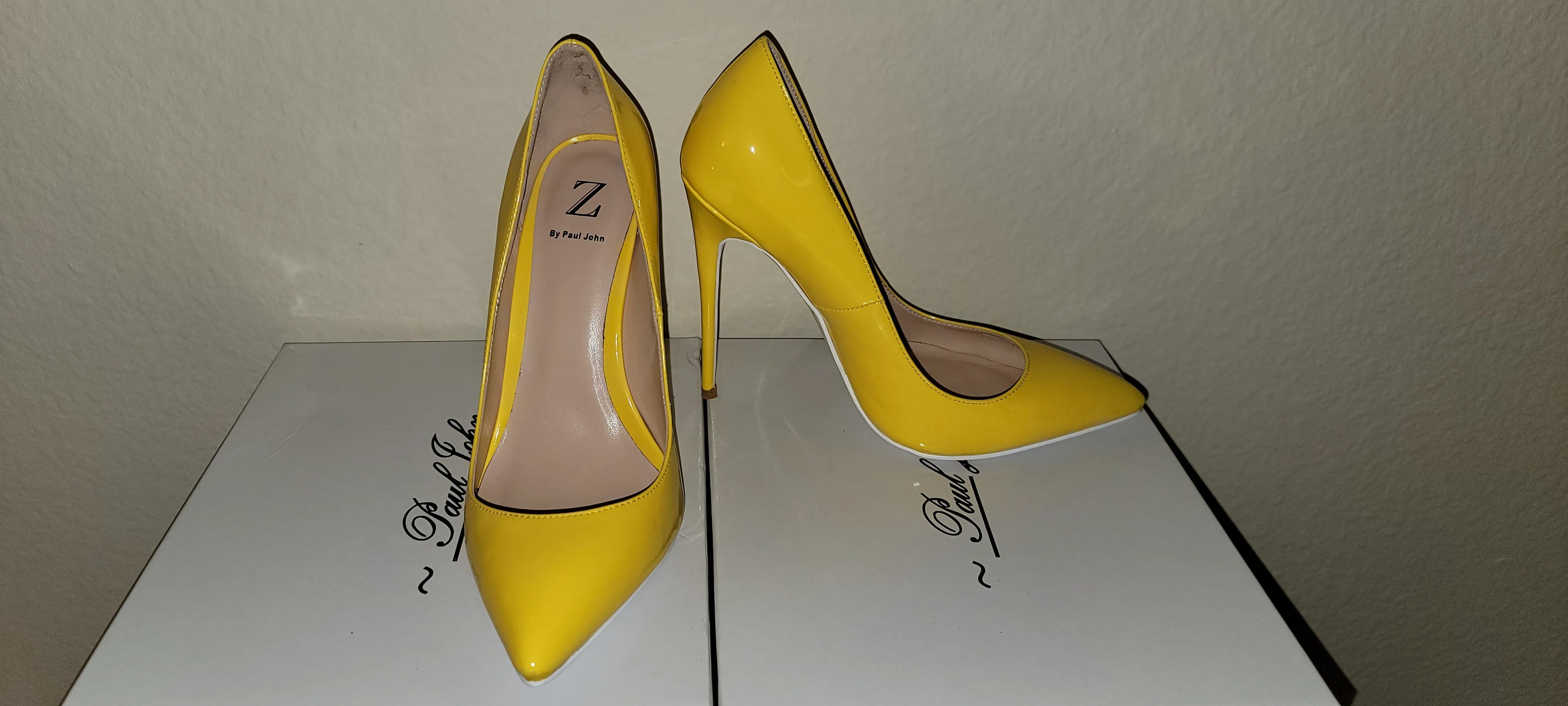 Z by Paul John high heel pumps